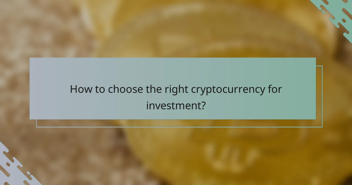 How to choose the right cryptocurrency for investment?