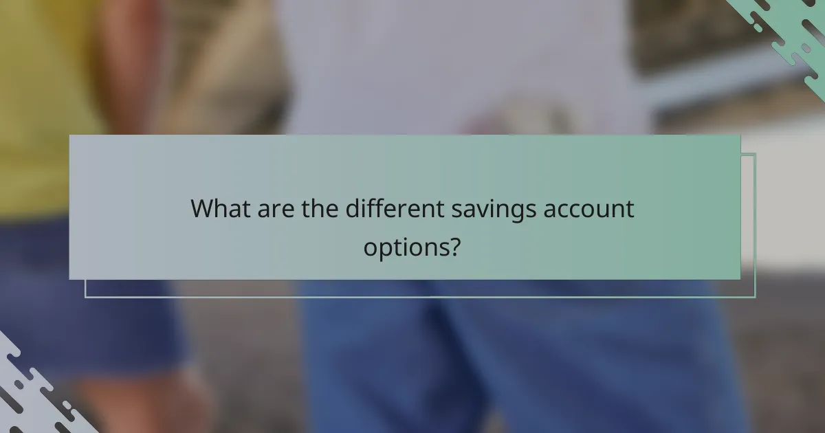What are the different savings account options?