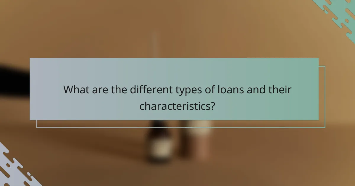 What are the different types of loans and their characteristics?